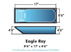 Eagle Ray